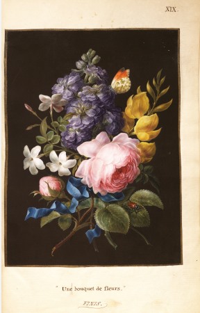 Hunter's floral watercolours XIX