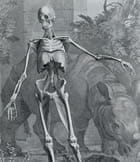 Illustration of skeleton in pastoral scene with rhino