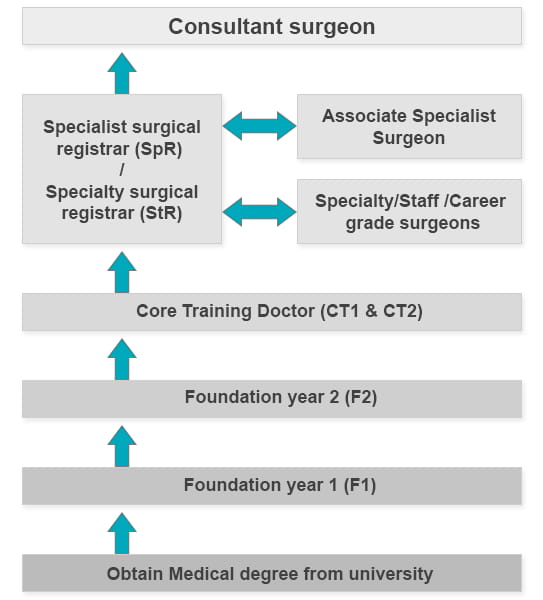 Un grafico che illustra la struttura della professione chirurgica