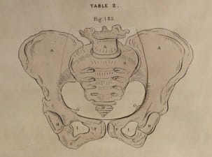 Obstetric Tables 4: pelvis