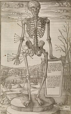 Charles Estienne - La dissection des parties du Corps humain 1546