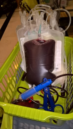 Giving blood 6: blood bag