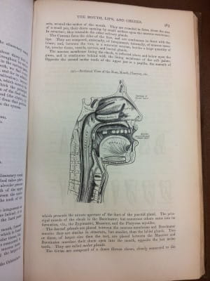 Gray S Anatomy 1858 Royal College Of Surgeons