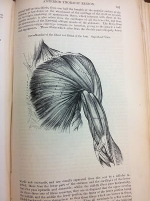 Gray's Anatomy 1858 — Royal College of Surgeons