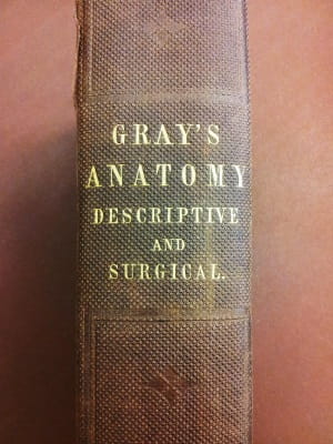 Gray's Anatomy 1: spine
