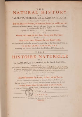 Catesby 5: title page
