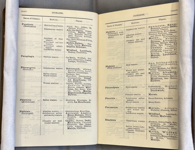 Two pages of a table showing 'name of disease', 'medium [of treatment]' and 'places [offering that medium]'