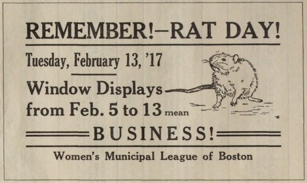 Window display for Boston Rat Day: Remember! Rat Day! Tuesday, February 13, '17, Window Displays from Feb.5 to 13 mean BUSINESS! Women's Municipal League of Boston