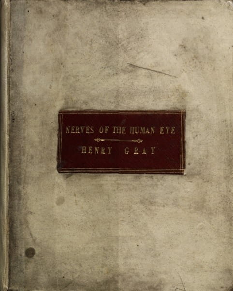 The front cover of Henry Gray's Nerves of the Human Eye