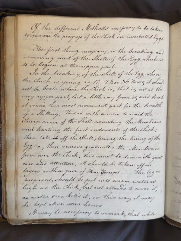 A page of hand-written text.