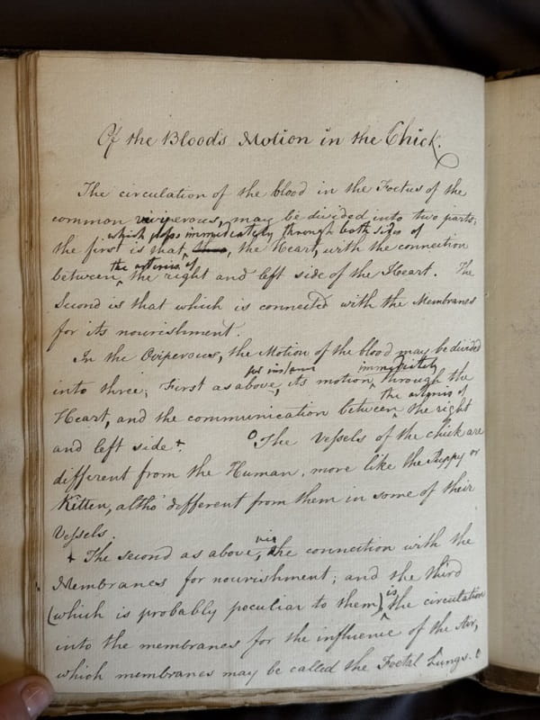 A page of hand-written page of text.